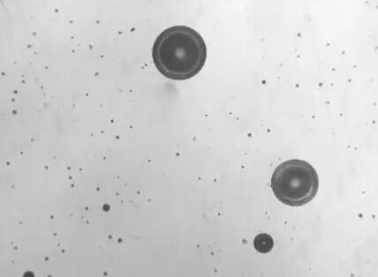 1677909118729335.jpg 图4.jpg